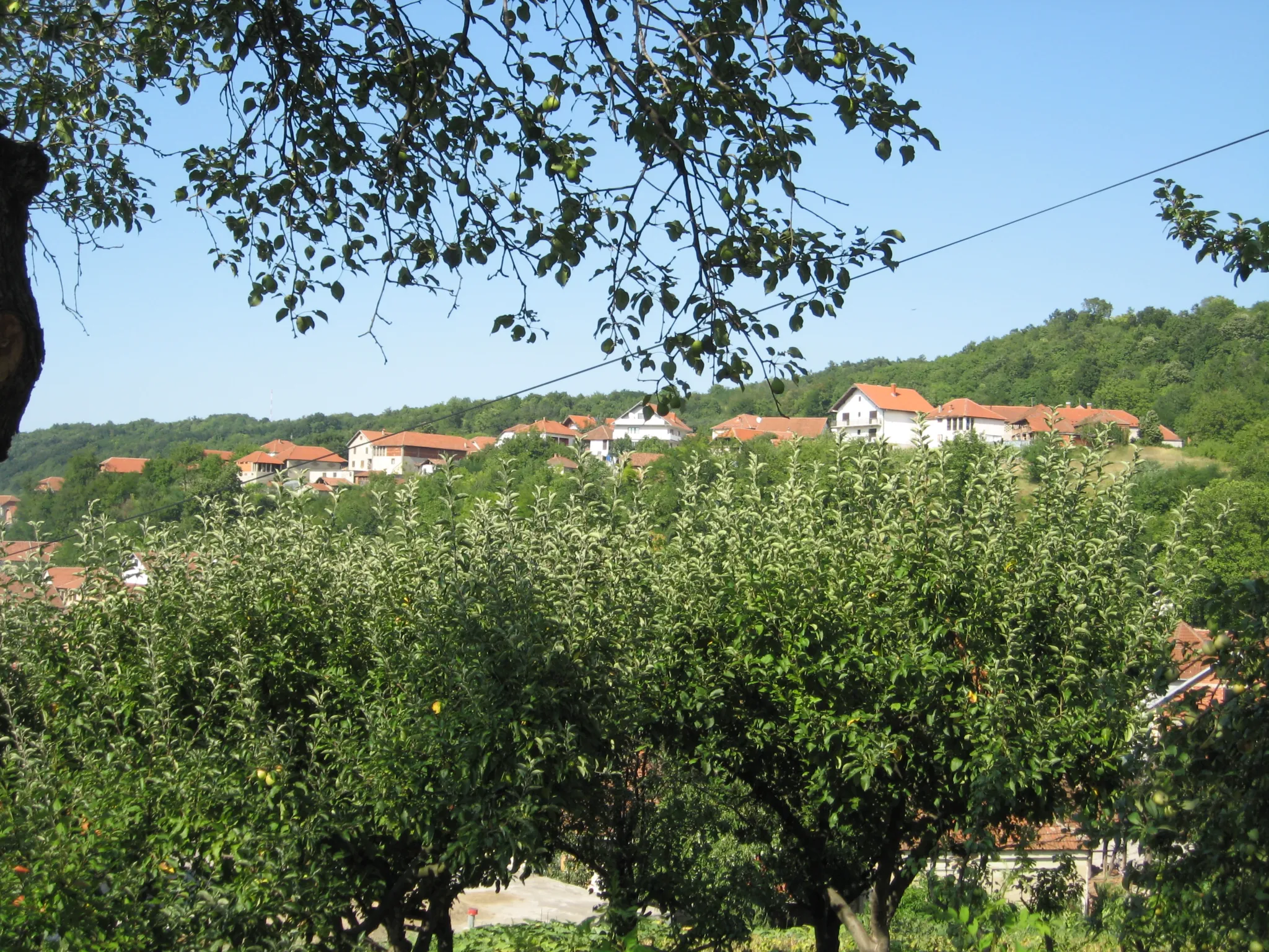 Rooftops of Aleksandrovac among the green hills of the Župa wine region