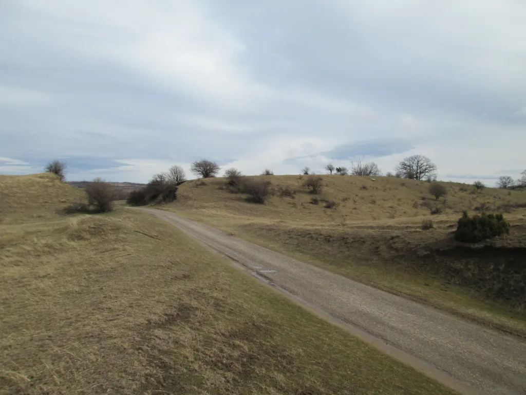 A track across the steppe grassland and scrub of Deliblato Sands