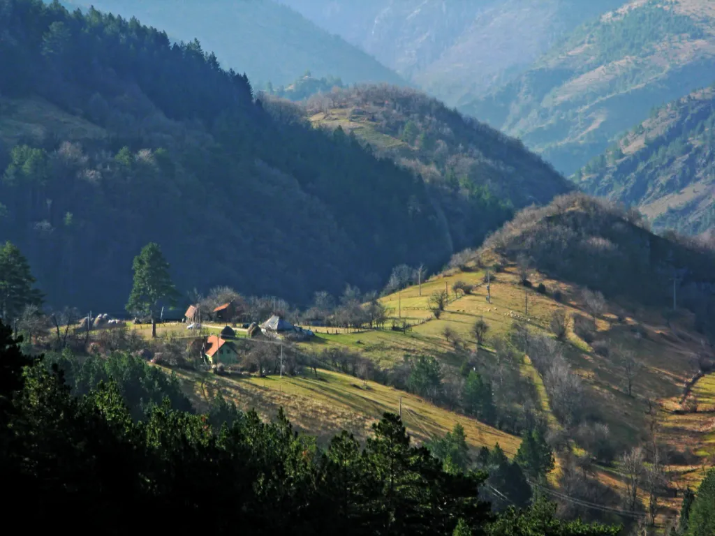 Farmsteads and fields on the green slopes of the Dobroselica valley on Zlatibor