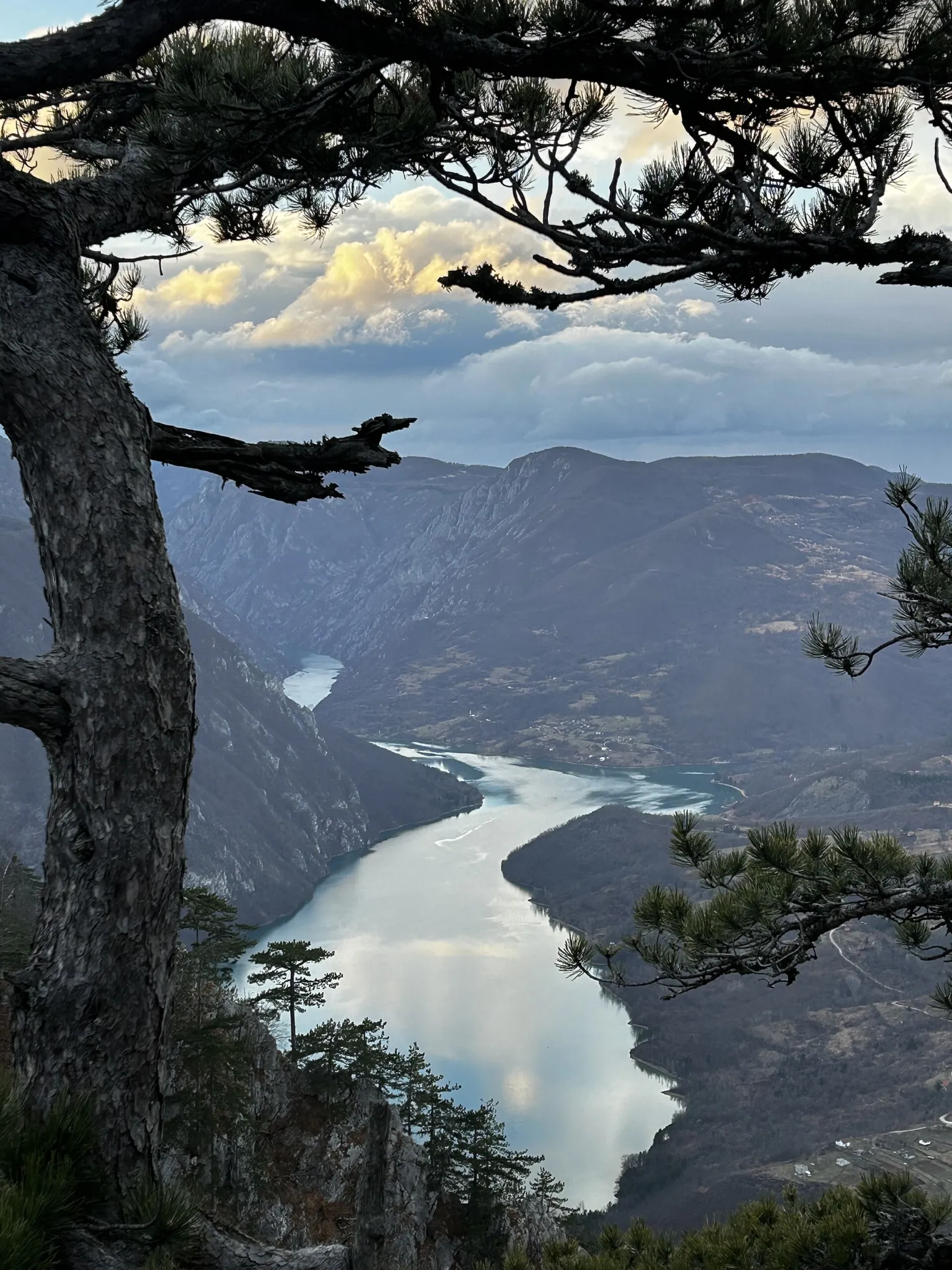 The Drina winding through its deep canyon below the cliffs of Tara National Park