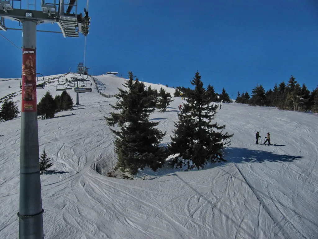 Skiers on the wide Duboka slope on Kopaonik on a sunny day