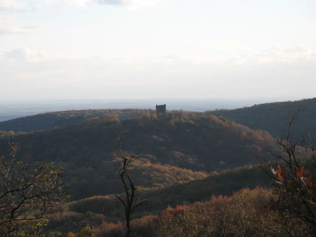 Wooded ridges of Fruška Gora National Park stretching to the horizon