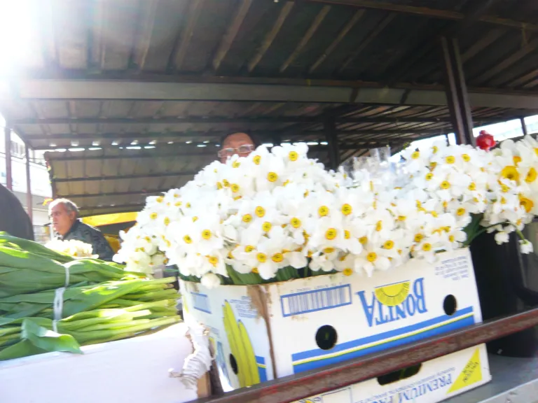 Flowers and fresh produce on the stalls of Kalenić market in Belgrade
