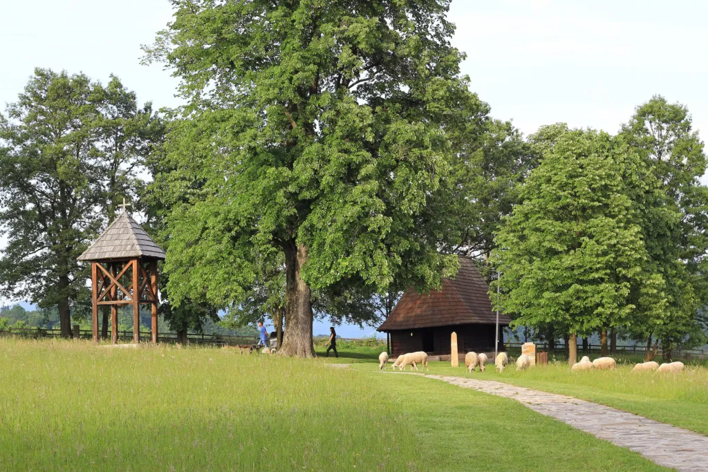 The small shingle-roofed log church and wooden bell tower at Takovo under old lime trees
