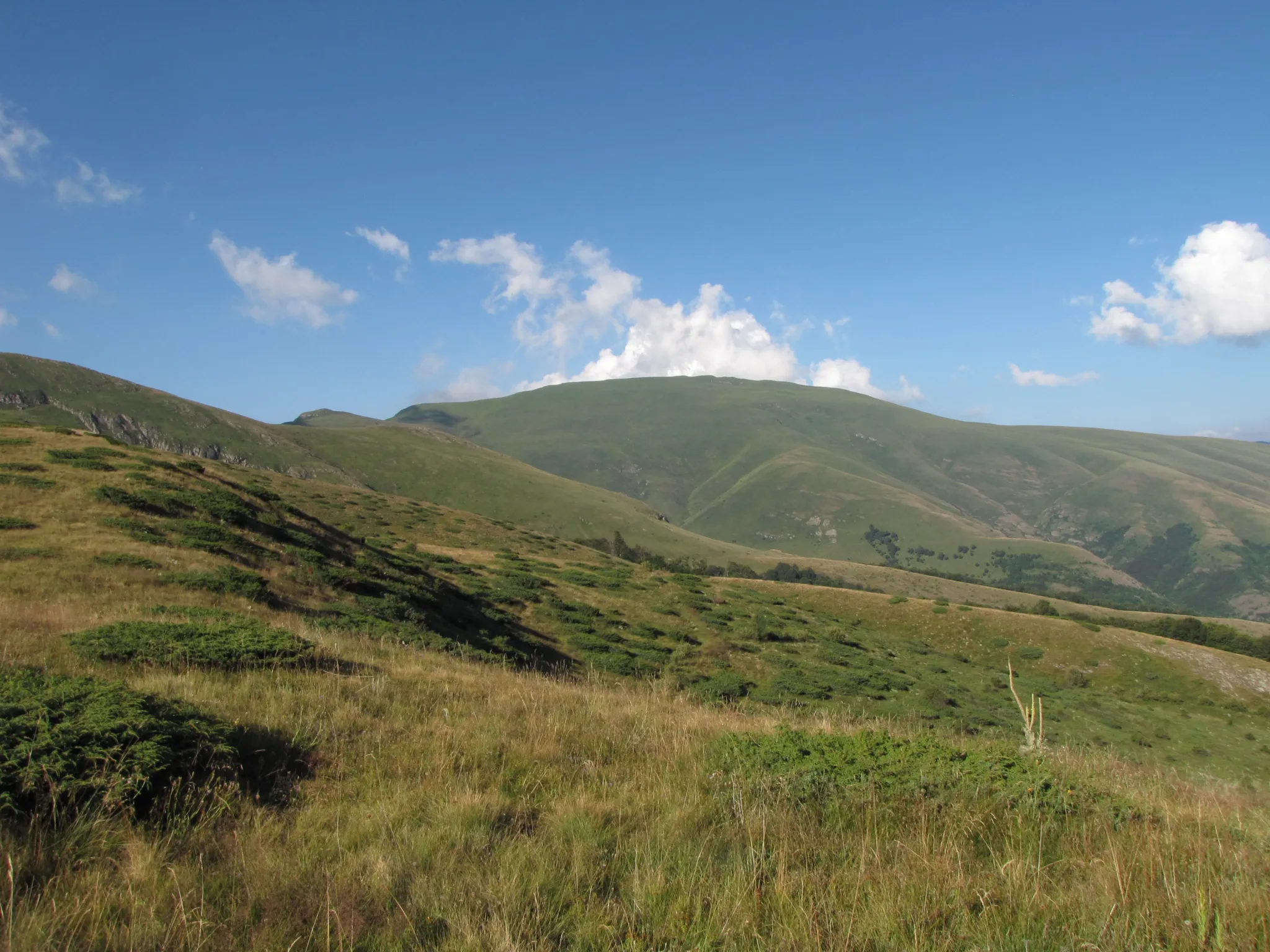 The grassy ridge towards Midžor, the highest peak of Serbia