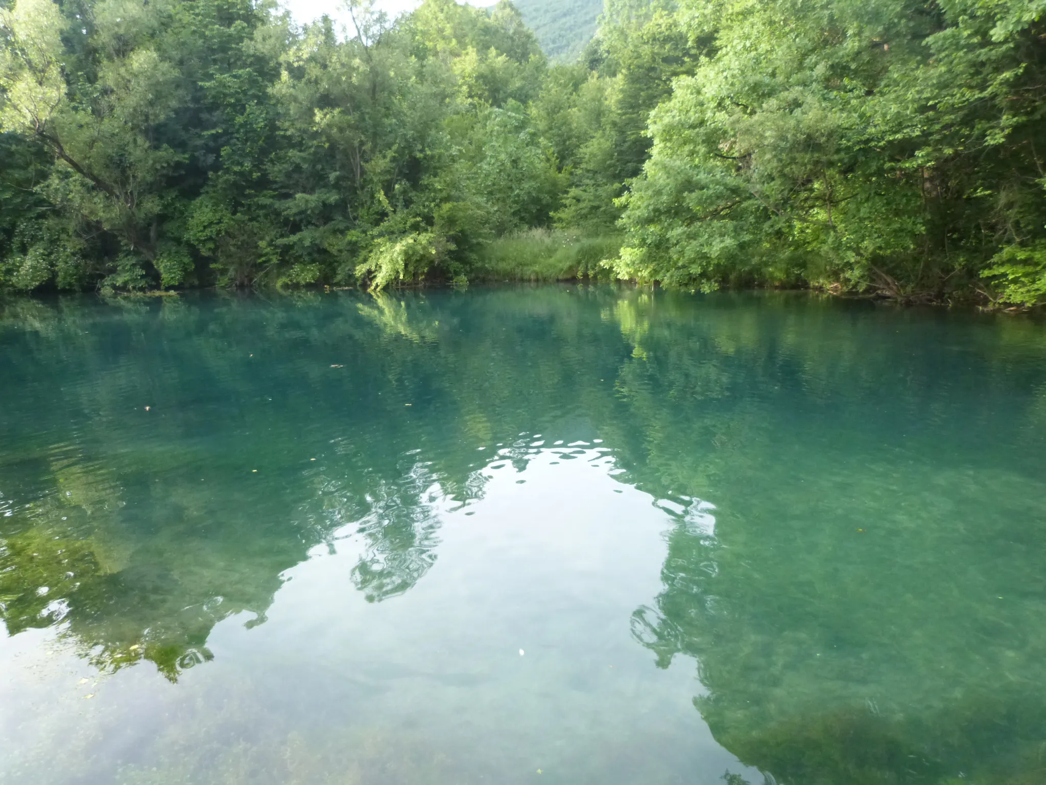 The deep turquoise pool of the Mlava Spring at Žagubica