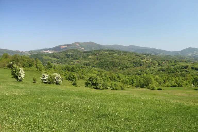 Green pastures and orchards below the ridge of Rudnik mountain, seen from Majdan