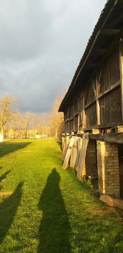 A traditional salaš with a timber barn and an open lawn outside Sombor