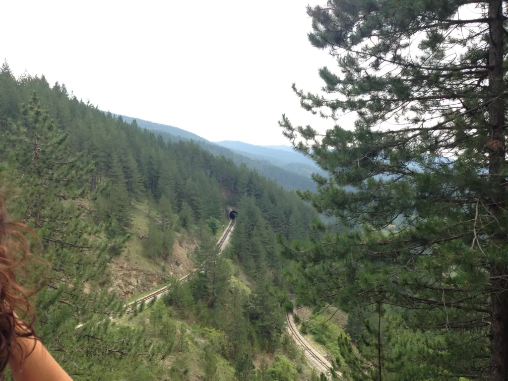 The Šargan Eight track winding along a forested mountainside above the valley