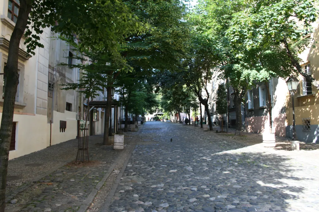 The cobbled street of Skadarlija under the trees in summer