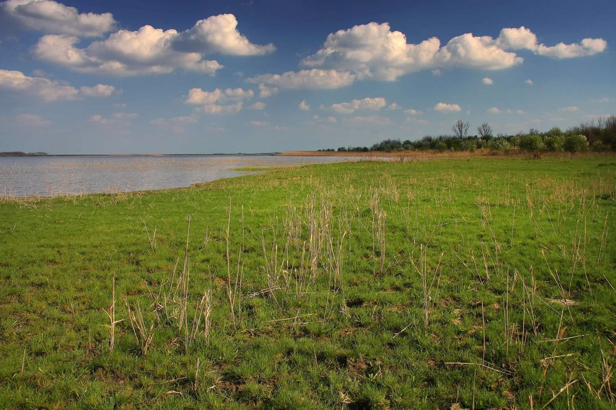 The shallow salt lake and grassland of the Slano Kopovo reserve in Banat