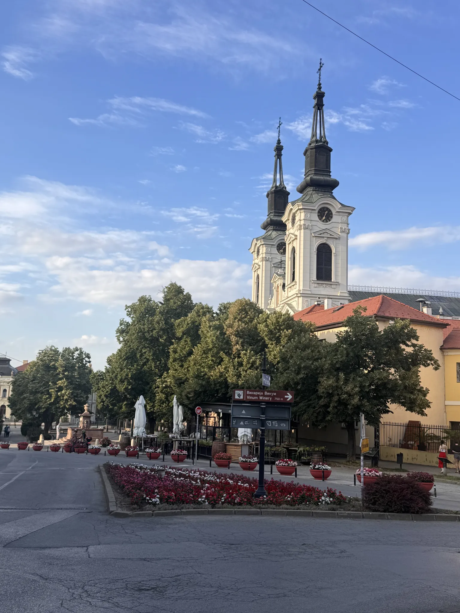 The twin towers of St Nicholas Cathedral rising above the trees of the main square in Sremski Karlovci