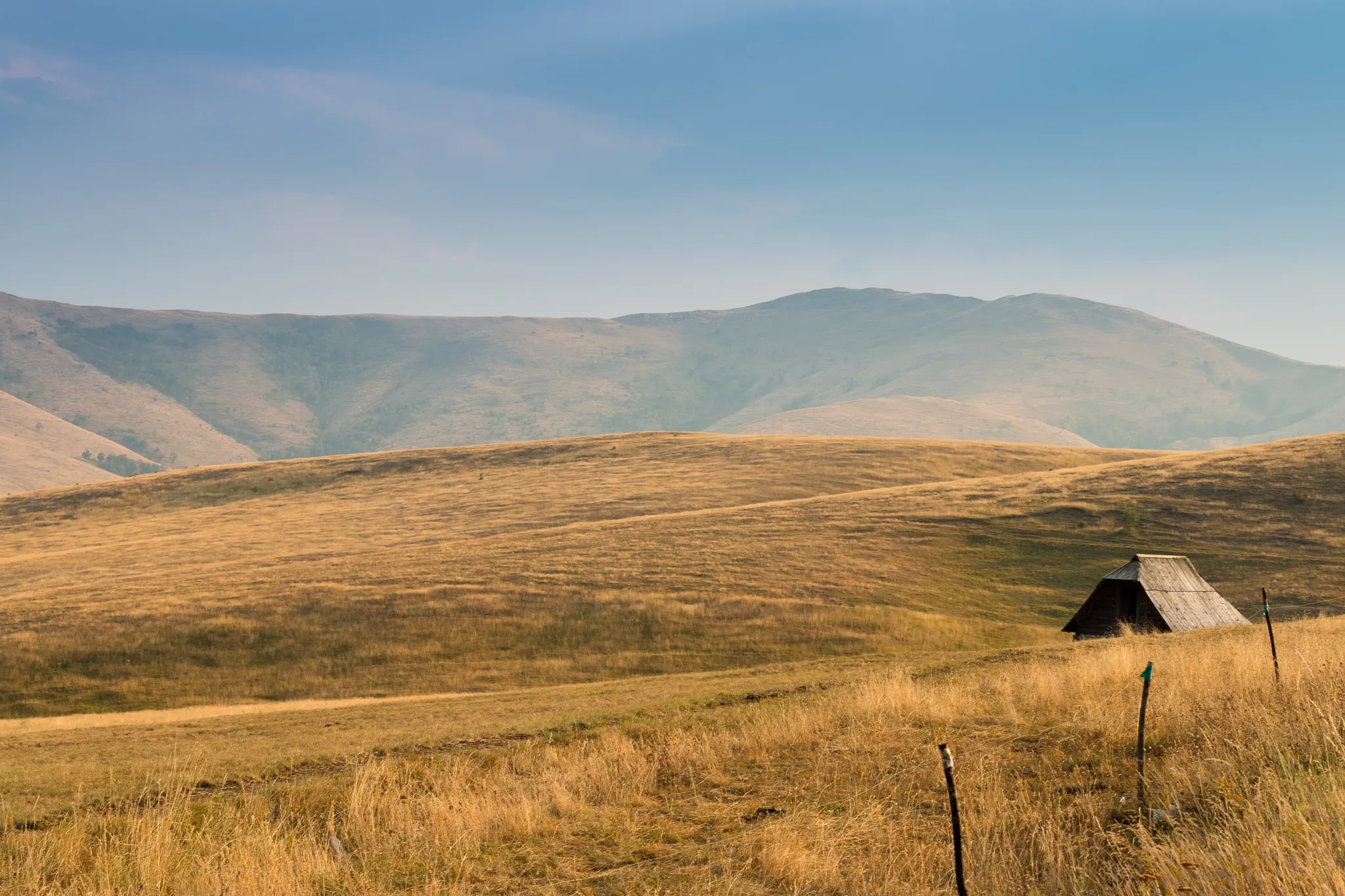 Golden summer grassland and a lone hut on the open hills of Zlatibor