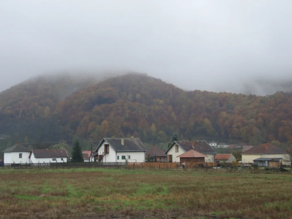 Village houses of Takovo at the foot of misty wooded hills