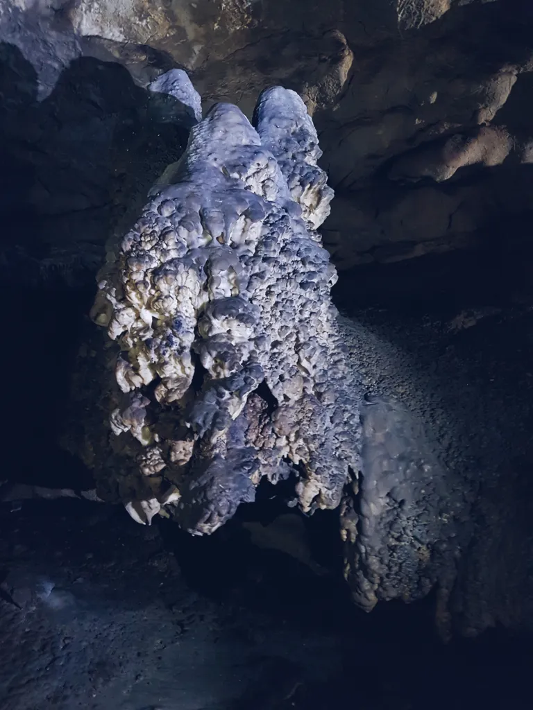Pale flowstone formations inside the Ice Cave of the Uvac reserve