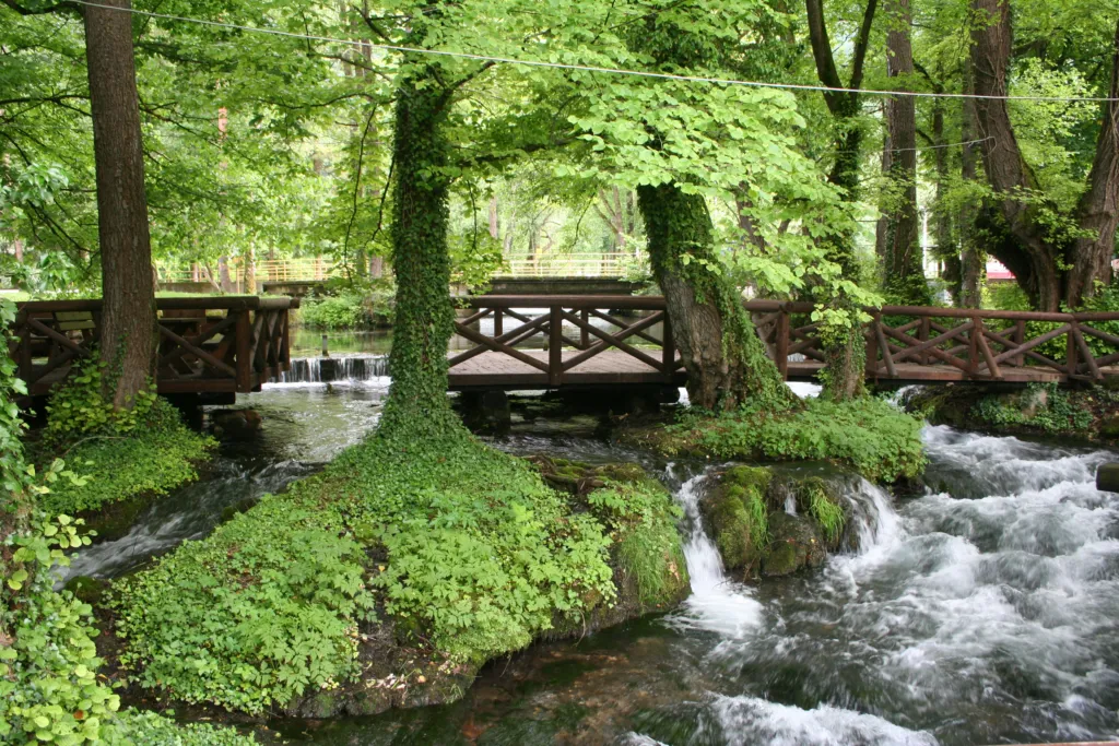A wooden footbridge over the mossy cascades of the short Vrelo river at Perućac