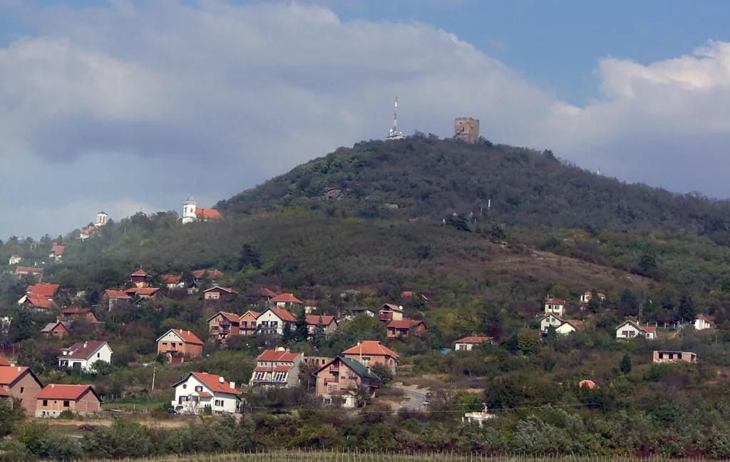 Houses on the slope below the wooded hill crowned by the medieval Vršac Tower