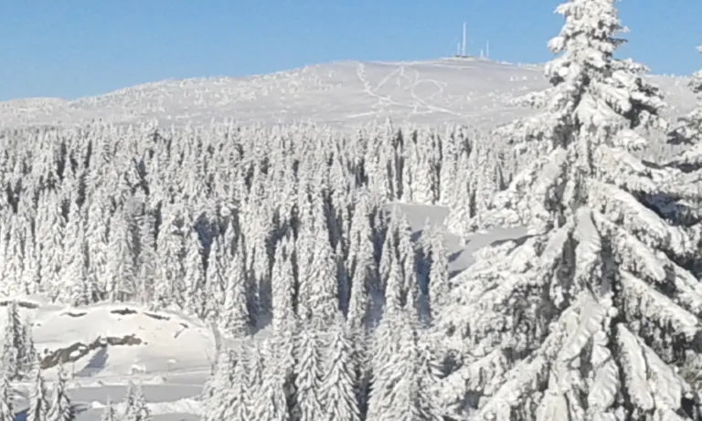 A frozen white forest on the high plateau of Kopaonik