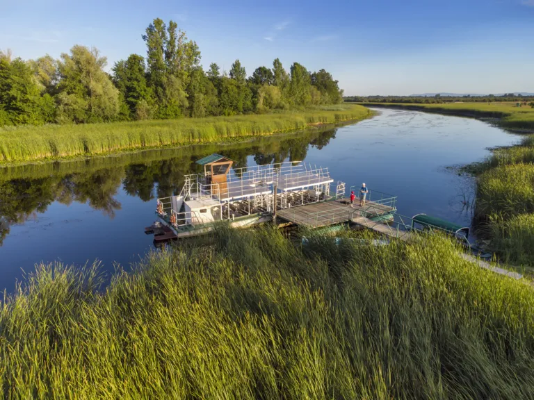 Aerial view of the Zasavica river winding through reeds and woodland, with the boat landing